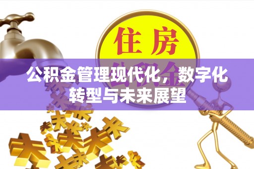 敦煌公积金管理现代化，数字化转型与未来展望