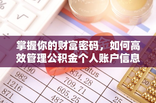 敦煌掌握你的财富密码，如何高效管理公积金个人账户信息