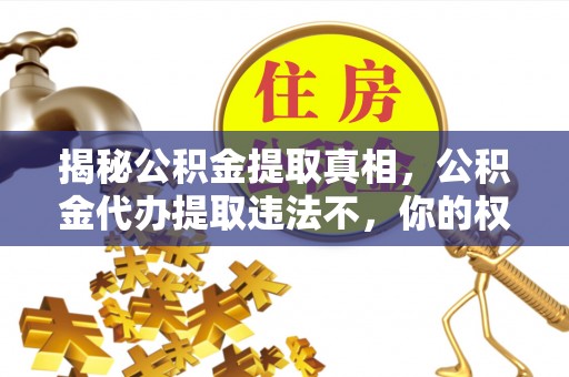 敦煌揭秘公积金提取真相，公积金代办提取违法不，你的权益如何保障？