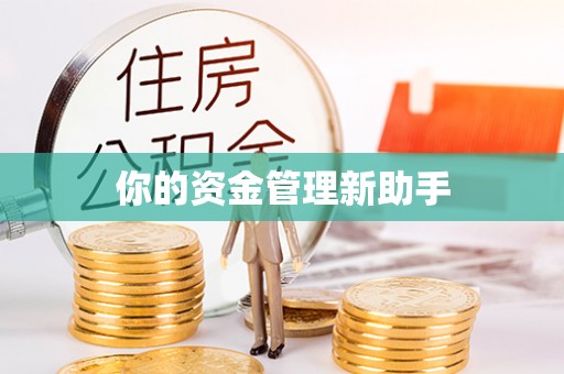 敦煌你的资金管理新助手