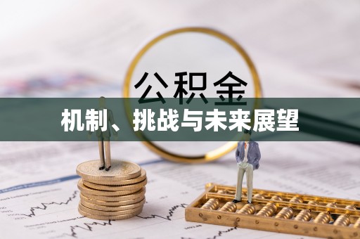 敦煌机制、挑战与未来展望