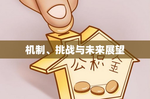 敦煌机制、挑战与未来展望